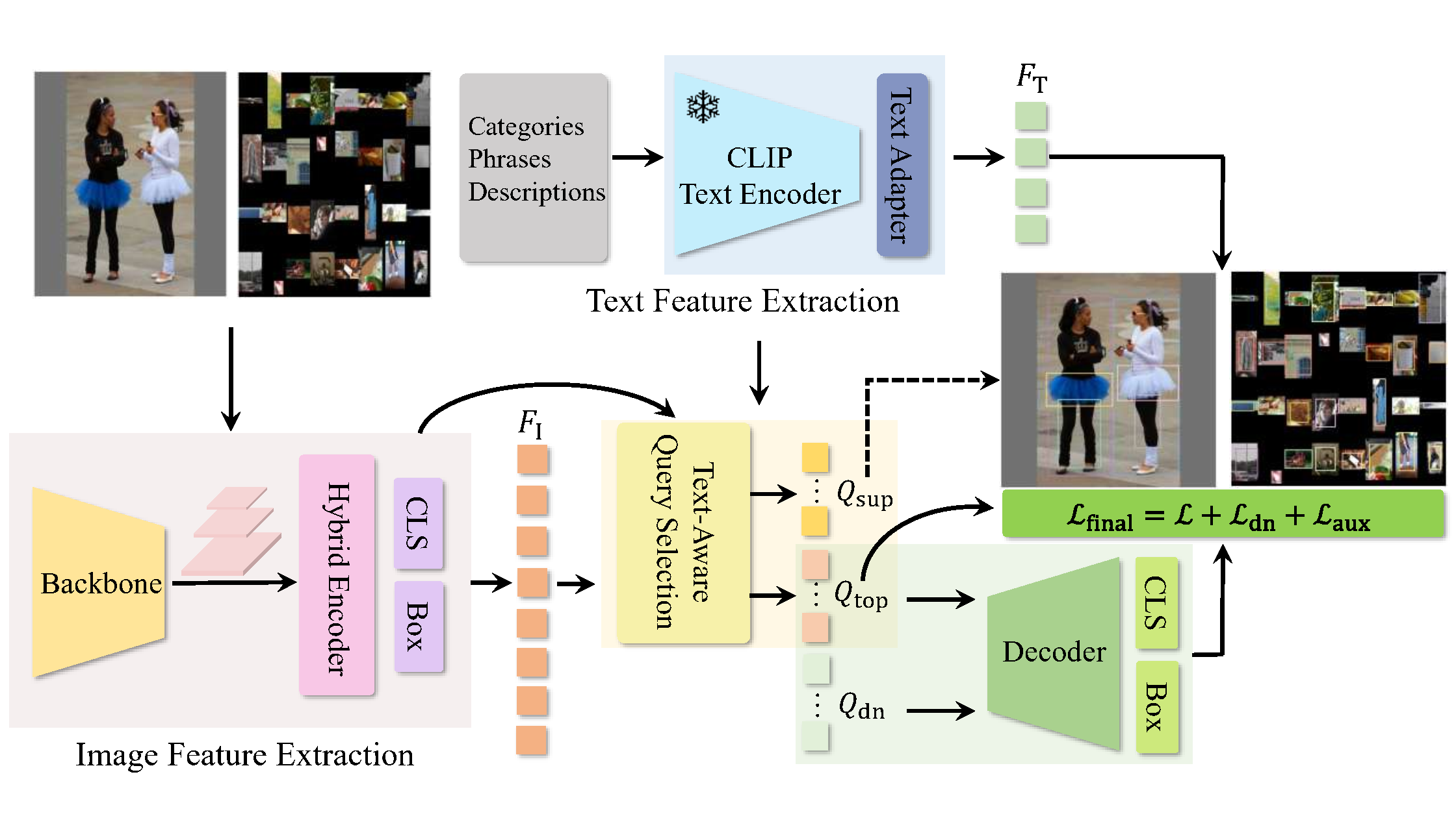 OV-DEIM Architecture